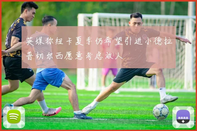 英媒称纽卡夏季仍希望引进小德拉普切尔西愿意考虑放人